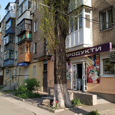 Двухкомнатный Люкс Центр Металлургов 19 Kr Apartments Krivoy Rog Exterior foto